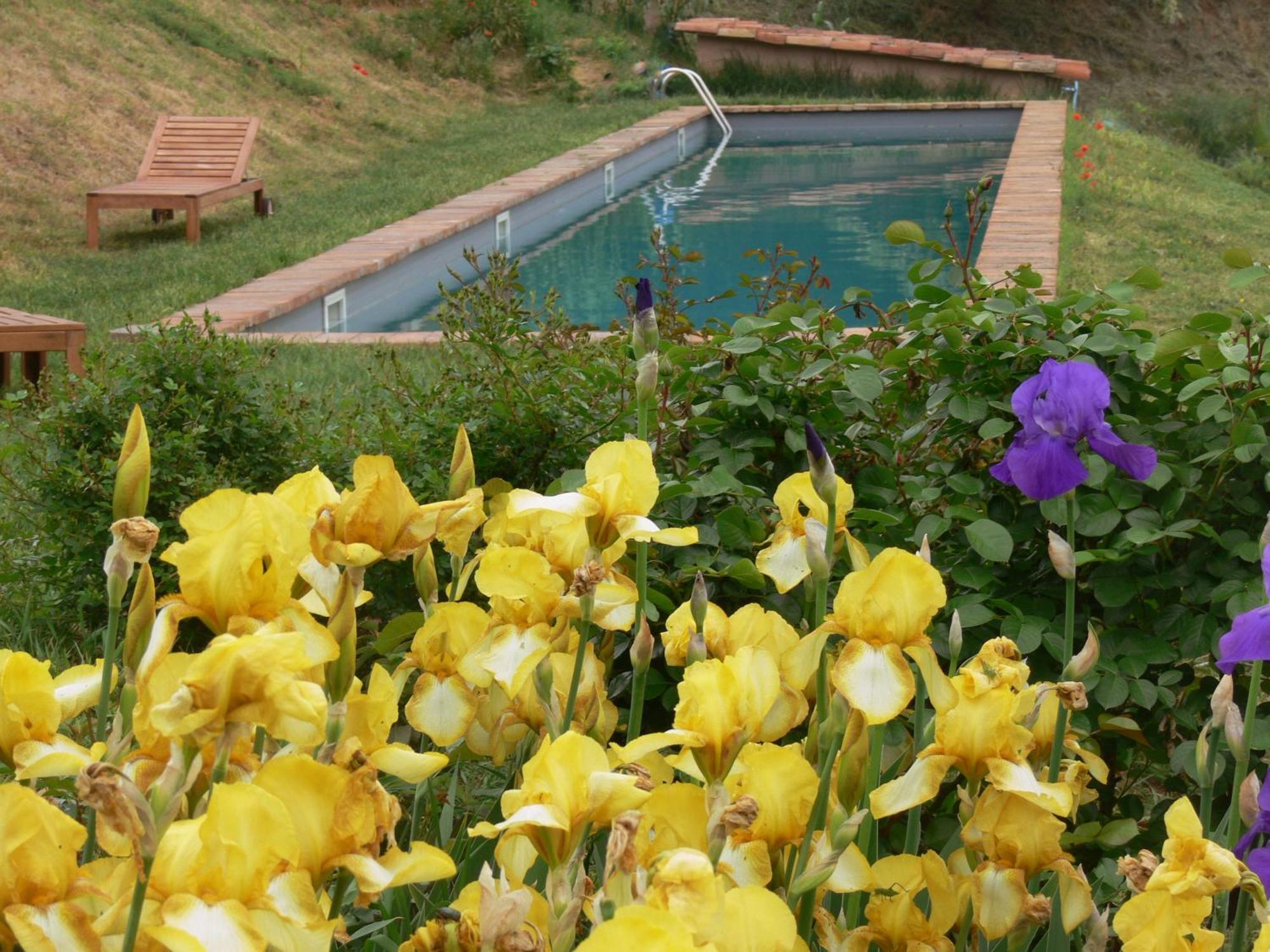 Casa Isabella Guest House Vaglio Serra Exterior photo